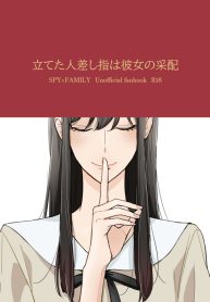 29524