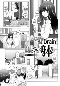 33204