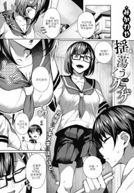 33206