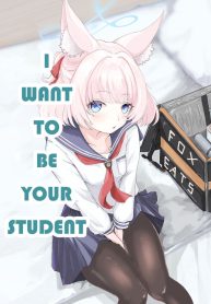 43066