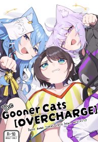 45838